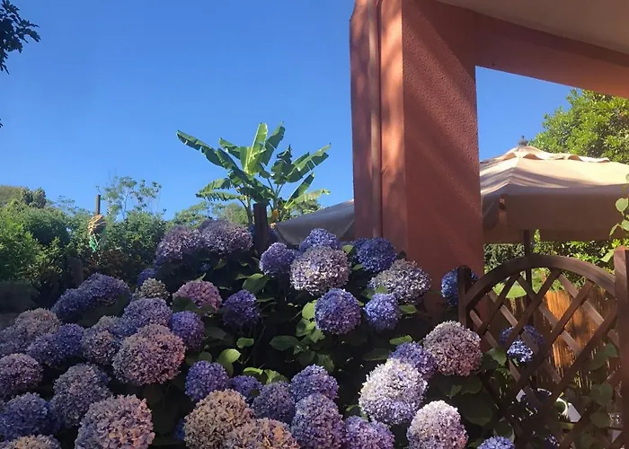 Nocleg ze śniadaniem Sonnino