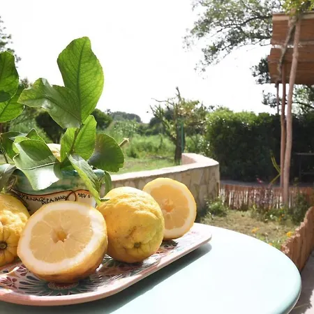 Bed and breakfast Sonnino Procida